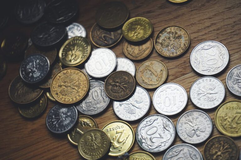 The Do's and Don'ts of Collecting Coins for Beginners