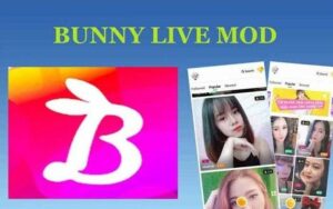 Bunny Live MOD APK (Unlocked Room, Screen Record, Free Coins)