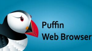 Puffin Browser Pro MOD APK (Paid Unlocked) Free Download 2022