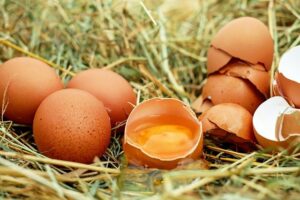 7 Egg Allergy Facts You Didn't Know About