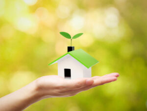 What Are the Best Tips for an Eco Friendly Home
