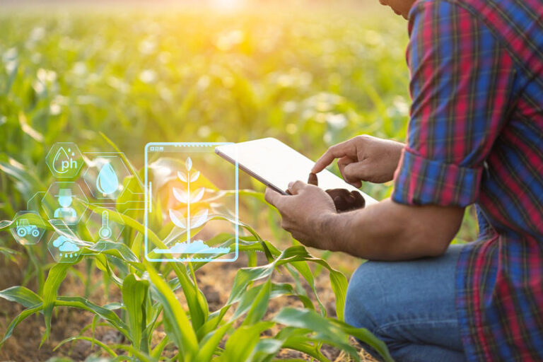 How Custom Software Gives Agribusinesses a Competitive Edge