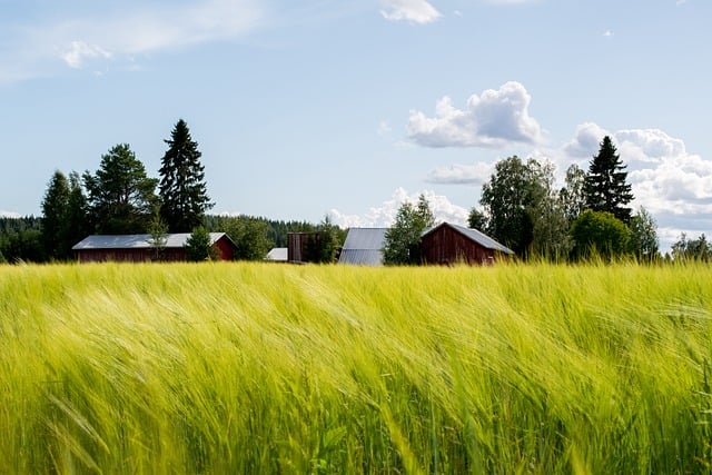 Innovative Storage Designs for Modern Farms